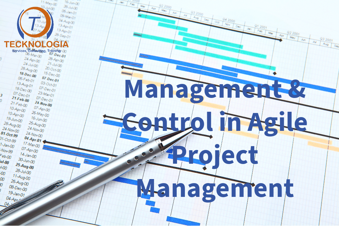 Management and Control in AgilePM.png